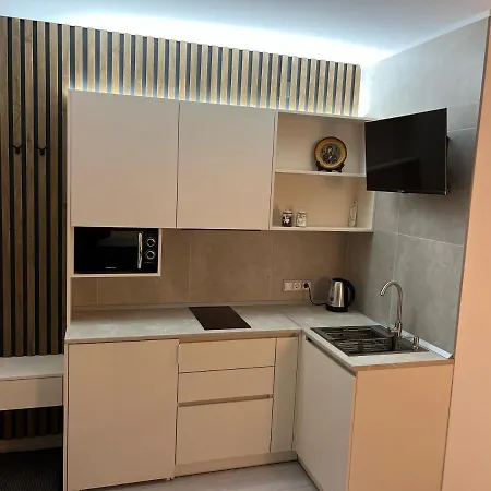 Гірський Кришталь Apartment Skole Exterior photo
