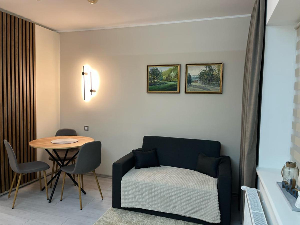 Apartment гірський кришталь Skole